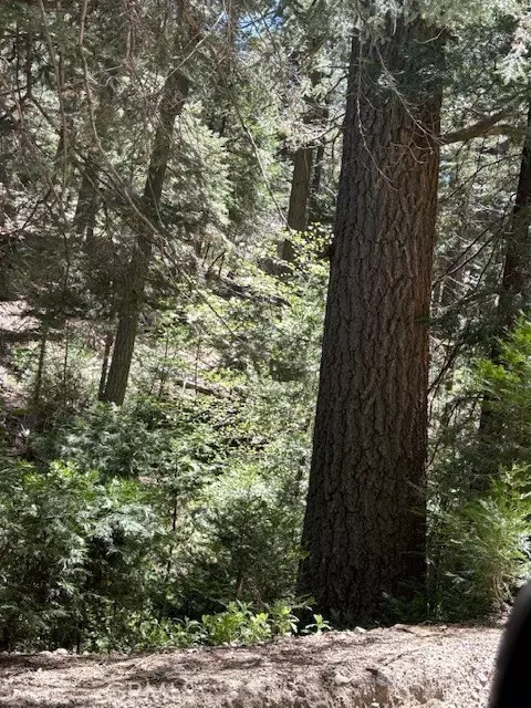 Twin Peaks, CA 92391,26101 Boulder Lane