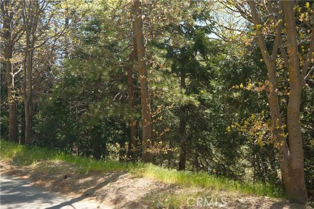 0 Thunderbird Drive, Lake Arrowhead, CA 92352