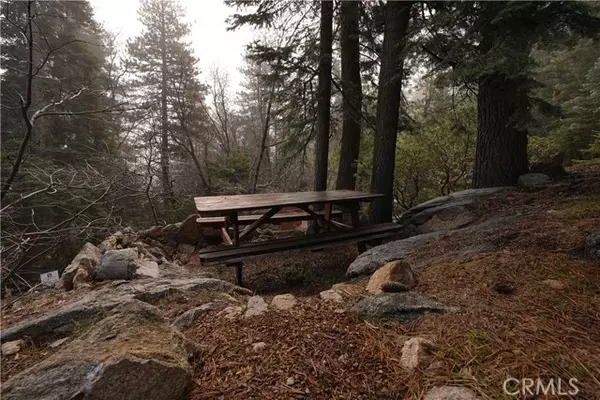 Twin Peaks, CA 92391,26335 Forest Lane