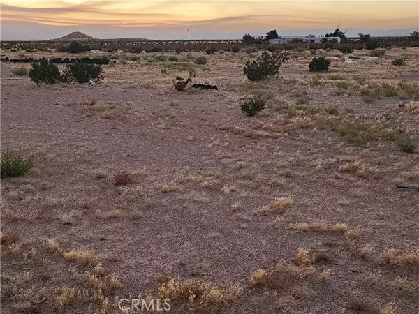 Newberry Springs, CA 92365,36955 Troy Road