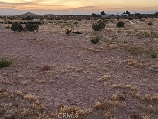 Newberry Springs, CA 92365,47701 Palma Vista Road