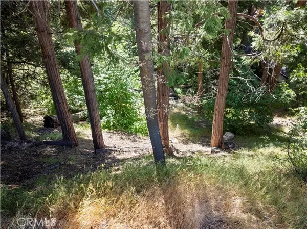 356 Ca-173, Lake Arrowhead, CA 92352