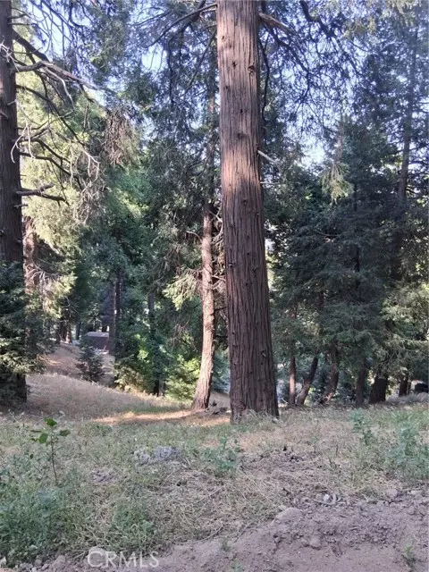 Cedarpines Park, CA 92322,61 Evergreen Drive