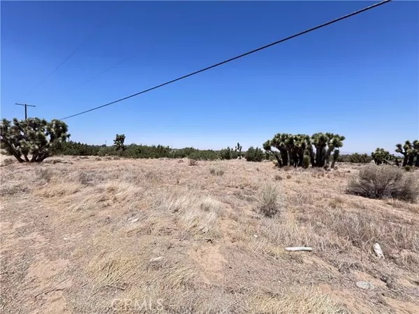 Phelan, CA 92371,0 Sunnyslope Road