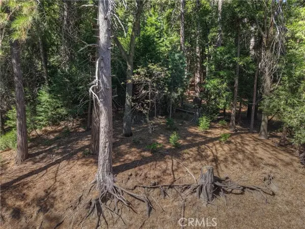 Crestline, CA 92325,0 Altdorf Drive