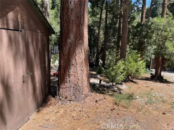 Forest Falls, CA 92339,0 Cedar
