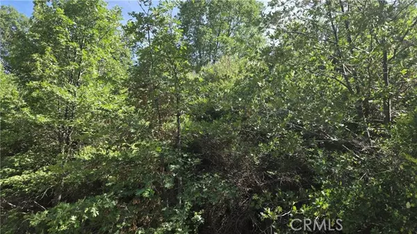 Cedar Glen, CA 92321,0 Elder Drive