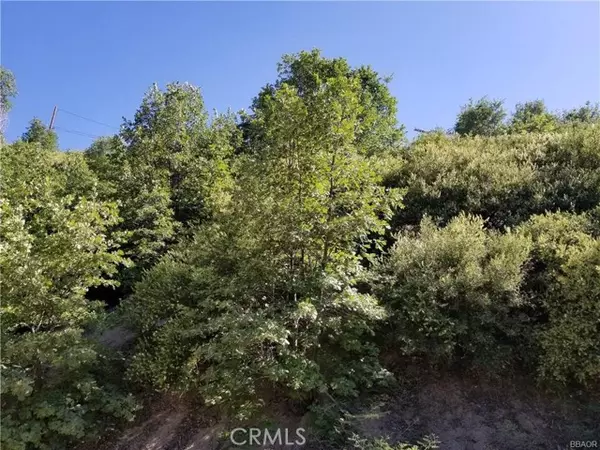 Cedar Glen, CA 92321,0 Elder Drive