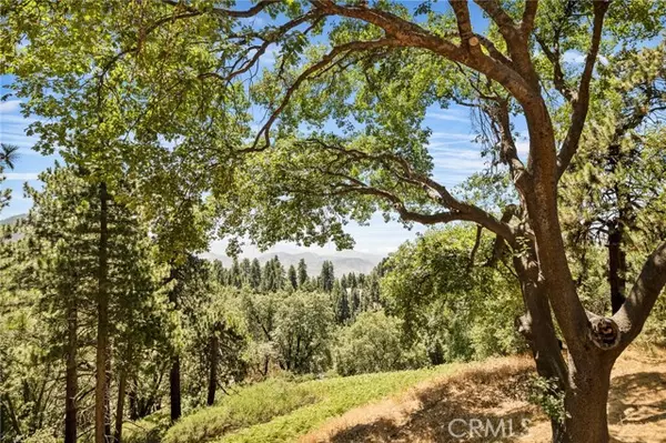 2461 Spring Oak Drive, Running Springs, CA 92382