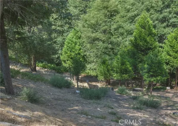 Cedar Glen, CA 92321,169 Alder Lane
