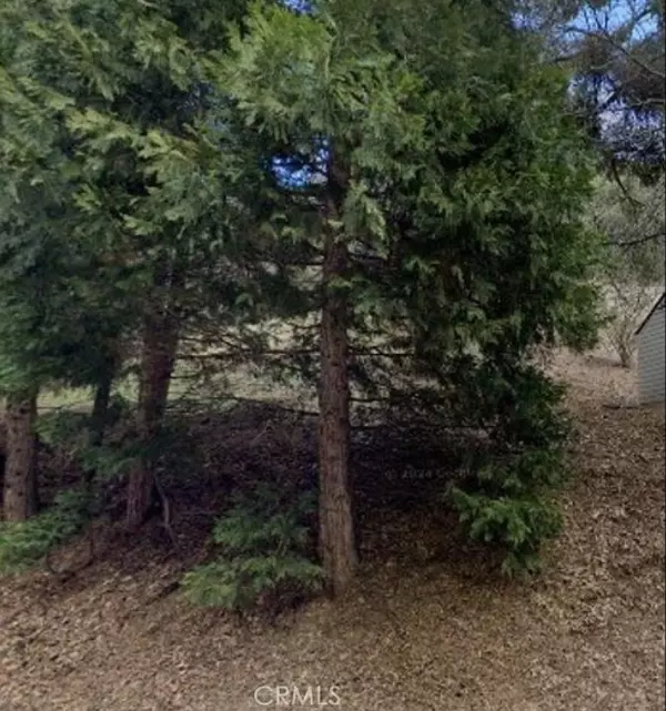 Crestline, CA 92325,0 Dart Canyon Road