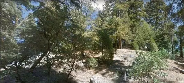 Cedarpines Park, CA 92322,0 Fir Street