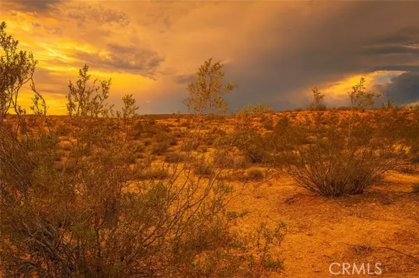 Yucca Valley, CA 92284,0 Bowman Trail