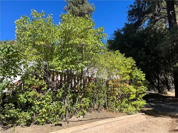 Angelus Oaks, CA 92305,39950 7 Oaks