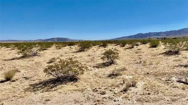 Joshua Tree, CA 92252,0 Rice