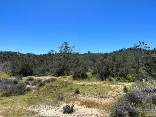 Aguanga, CA 92536,1 Barbara Trail