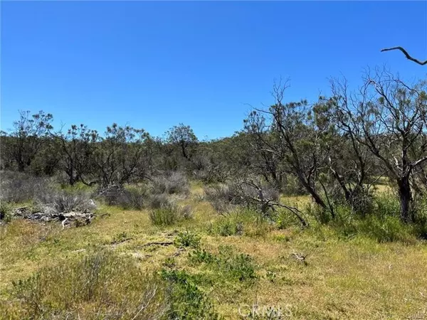 Aguanga, CA 92536,1 Barbara Trail