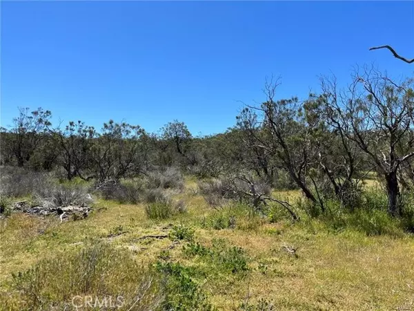 Aguanga, CA 92536,3 Barbara Trail