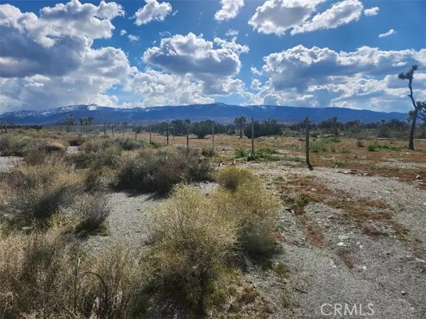2647 Minero Road, Pinon Hills, CA 92372