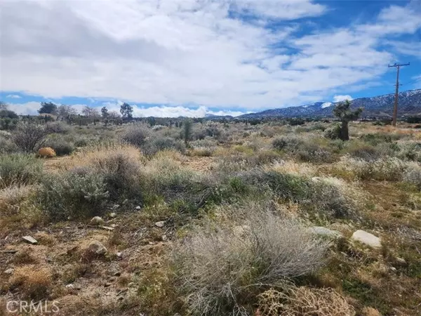 Pinon Hills, CA 92372,0 Oasis