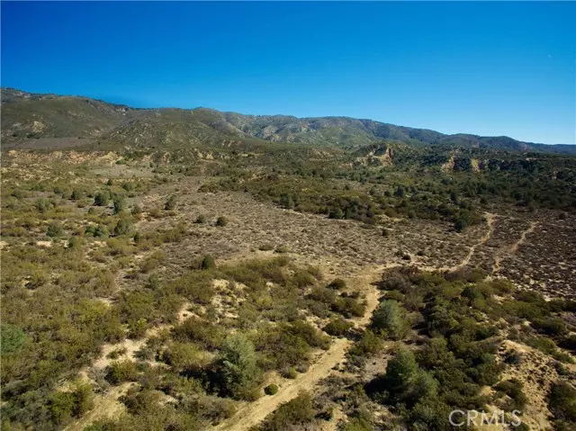 Anza, CA 92539,7 Old Forest