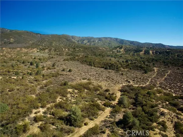 Anza, CA 92539,7 Old Forest