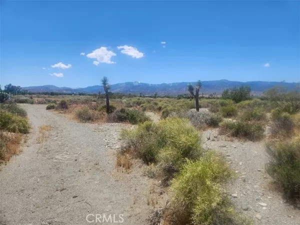 0 Minero Road, Pinon Hills, CA 92372