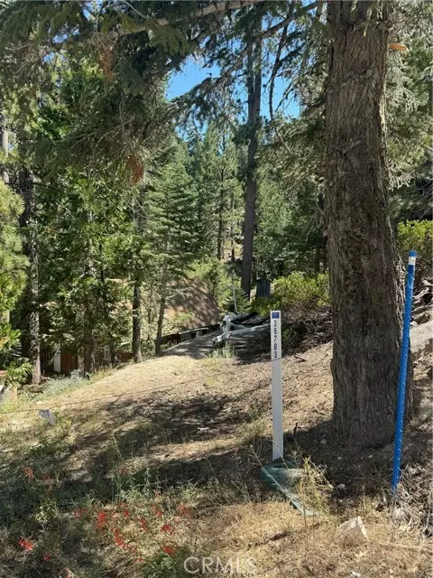 Big Bear Lake, CA 92315,0 Canyon Trail