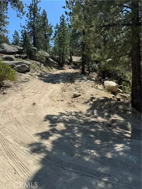 Big Bear Lake, CA 92315,896 Canyon Trail