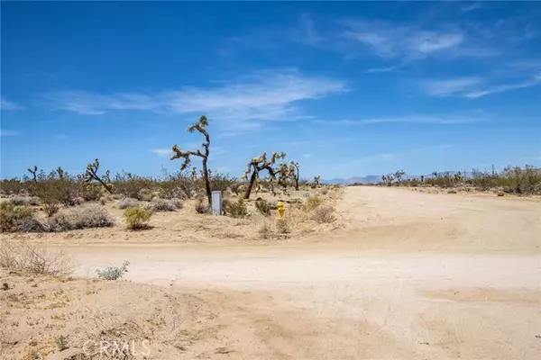 Joshua Tree, CA 92252,6563 Saddleback Road