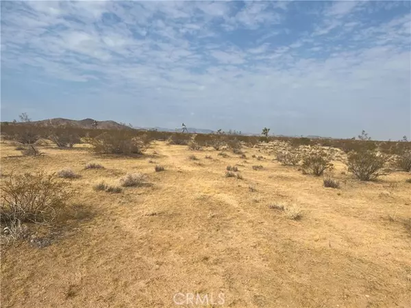 338 Stable Road, Landers, CA 92285