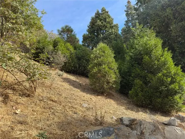 Lake Arrowhead, CA 92352,181 Fremont Drive