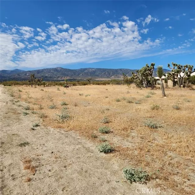 Pinon Hills, CA 92372,0 Arena Road