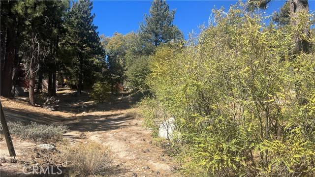 Green Valley Lake, CA 92341,33275 Iris Drive