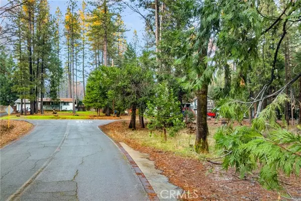 Pioneer, CA 95666,1 Old Madrone Road