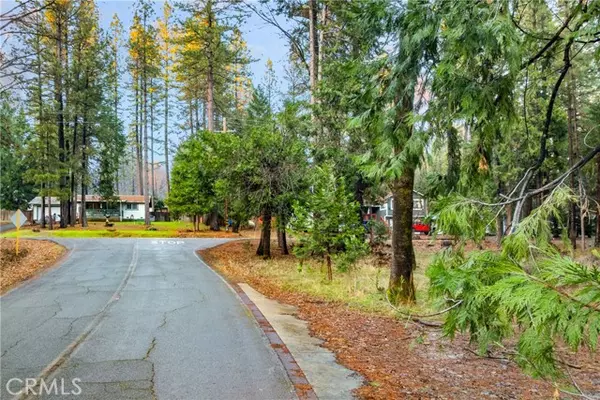 Pioneer, CA 95666,1 Old Madrone Road