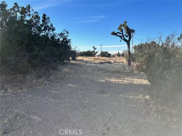Phelan, CA 92371,0 Nielson Road