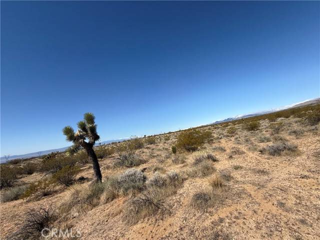 Rosamond, CA 93560,125 125th