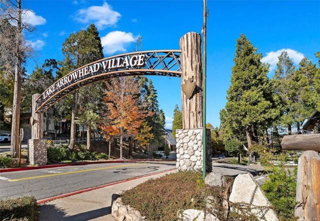 Lake Arrowhead, CA 92352,306 Dolly Varden Drive