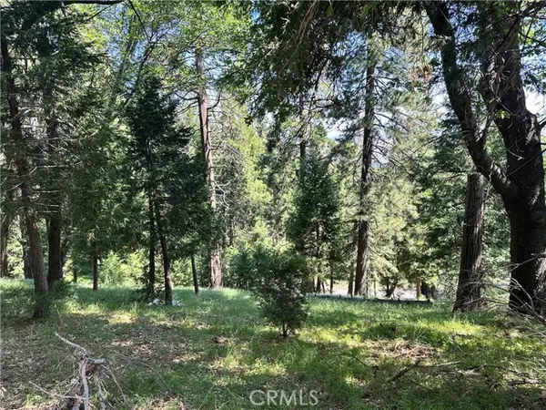 0 Bone Drive, Cedarpines Park, CA 92322