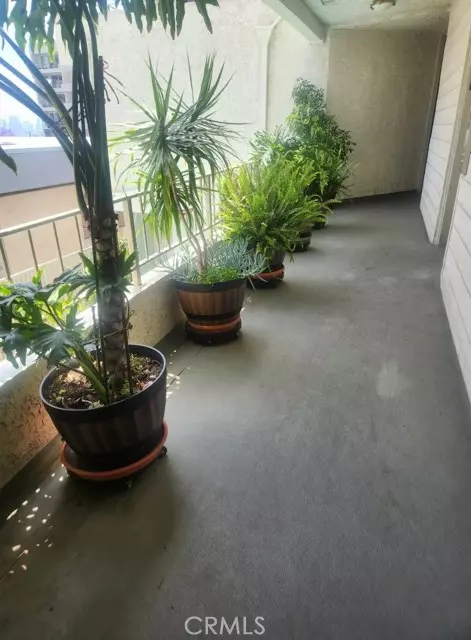 West Hollywood, CA 90069,1140 ALTA LOMA
