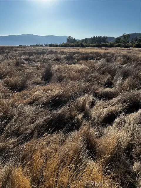 Lake Elsinore, CA 92530,0 Morton