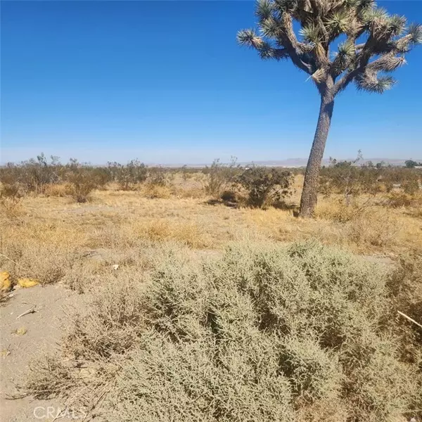 Pinon Hills, CA 92372,11 Palmdale Road