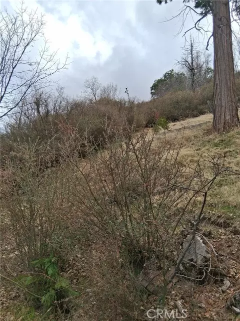 Cedar Glen, CA 92321,0 Pine Drive