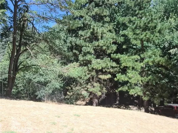 Crestline, CA 92325,24814 Edelweiss