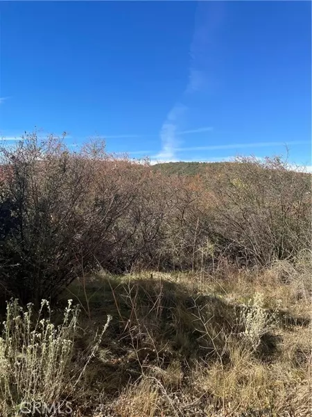 0 Acacia Road, Cedar Glen, CA 92321