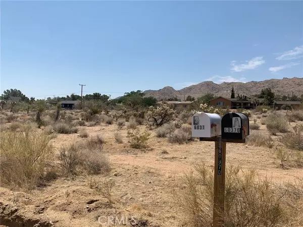 Joshua Tree, CA 92252,0 Alta Loma