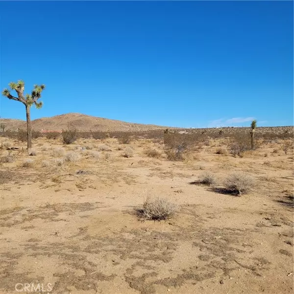 Joshua Tree, CA 92252,68 Duvall Drive