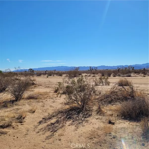 Joshua Tree, CA 92252,68 Duvall Drive