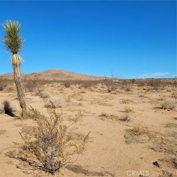 Joshua Tree, CA 92252,68 Duvall Drive